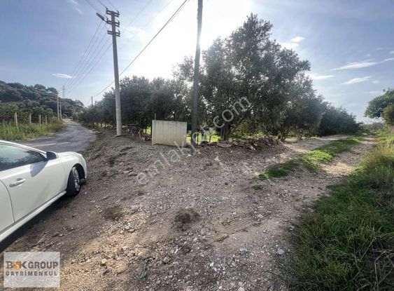 Bsk Group'dan Denize 500m Mesafede Mandalina Bahçesi..!