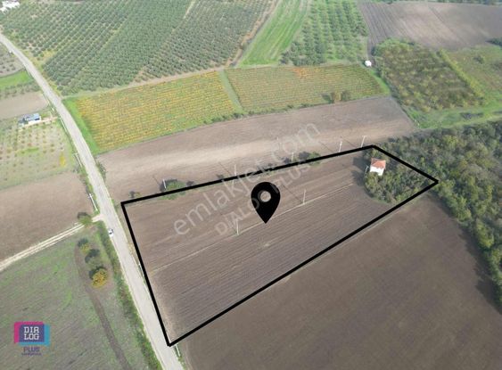 Mudanya Küçükyenice'de 9.400m2 Tek Tapu 6 Parçaya Bölünebilir