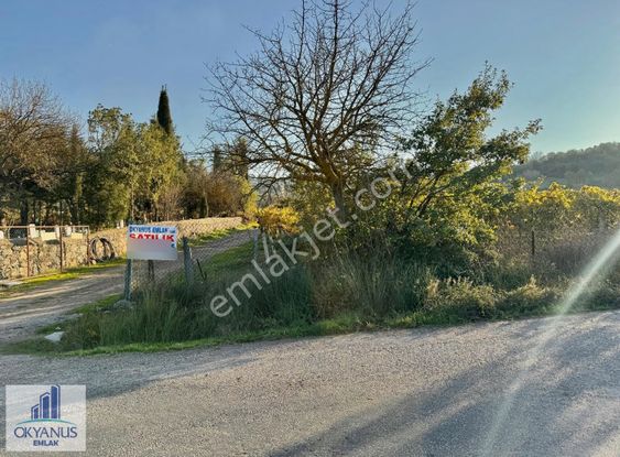 Türkmenköy De 3.150 M2 Bağ , Asfalta Sıfır, 90 Mt Yola Cepheli