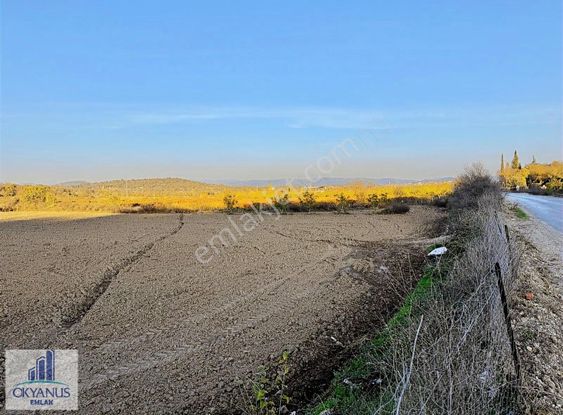 Türkmenköy De 6.360 M2 Tarla, Asfalta Sıfır, Köşe Parsel