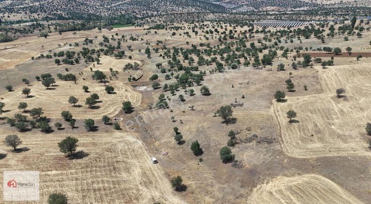 Hanedan'dan,güneysınır Merkeze Yakın 6094 M2 Müstakil Tarla