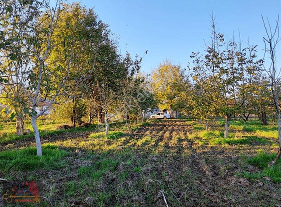 El/ya 'dan Kepsut Merkezde Muhteşem Hobi Bahçesi + Su + Ceviz