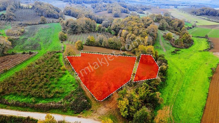 4021+ 868 M2 İki Adet Yan Yana Kadastro Yolları Mevcut 4889 M2