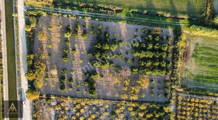 Atça Da 4.5 Dönüm Hobi Bahçesi