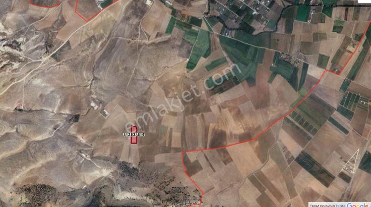 Satılmışoğlu'nda Büyük Alan Fırsatı: 9589 M² Verimli Taban Tarla