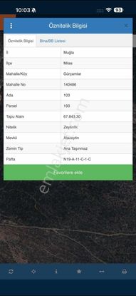Muğla Milas Yüksek Verimli Zeytinlik!