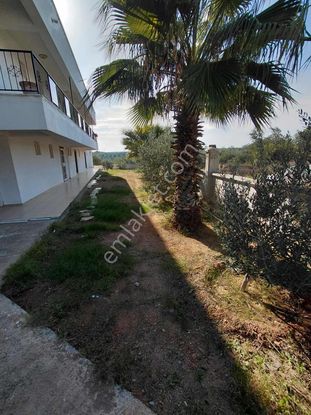 Didim Fevzipaşa'da Takasa Açık Uygun Fiyatlı 1+1!