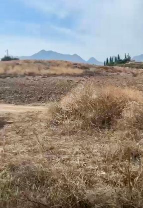 Datça Kızlan – Yola Cepheli 2.115 M² Geniş Parsel (uygun Fiyat)