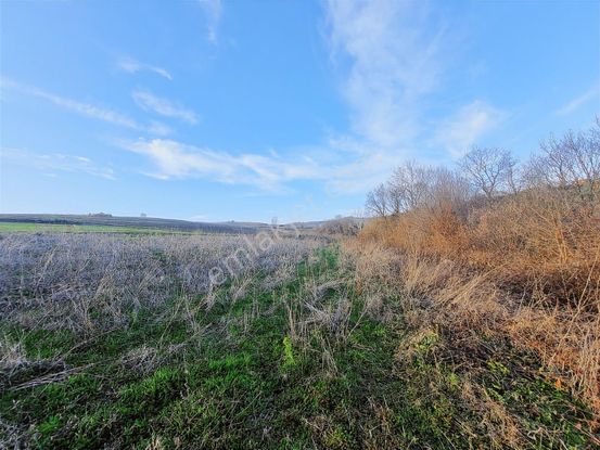 Kocaeli İzmit Bağlıca Satılık Yatırımlık Fırsat Tarla