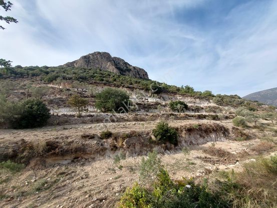 Muğla Datça Yazı Da 15 200 M2 Müstakil Arazi Satılık