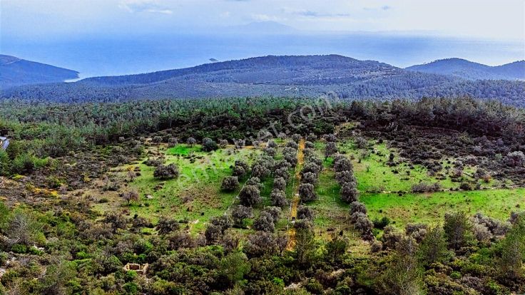 Bodrum Yalıçiftlikte 342m2 Hisse Tapulu Parsel