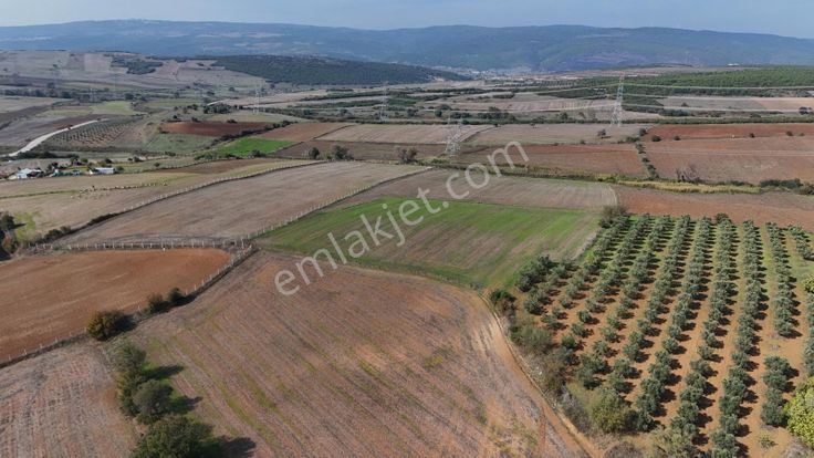 Expert'ten Karacabey Seyran'da Satılık 7500 M² Tarla