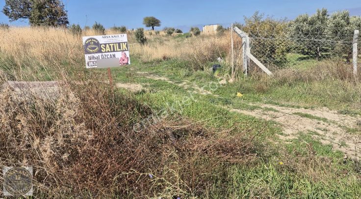 Çanakkale Merkeze 20 Dk Mesafede Yatırımlık Bağ