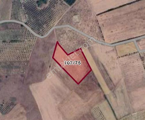 Cb Black'ten Mudanya Evciler'de Yola Parsel Yatırımlık Tarla