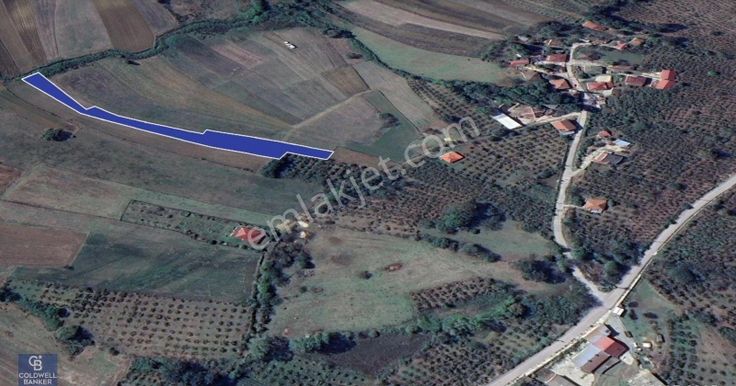 Kandıra Eğercili Yola Bir Parsel 3228 M2 Satılık Arazi