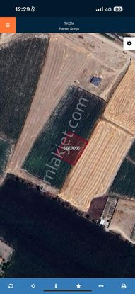 Taşpınar Gayrimenkulden Yeşilova/köseli'de 1,272 M2 Satılık Arsa