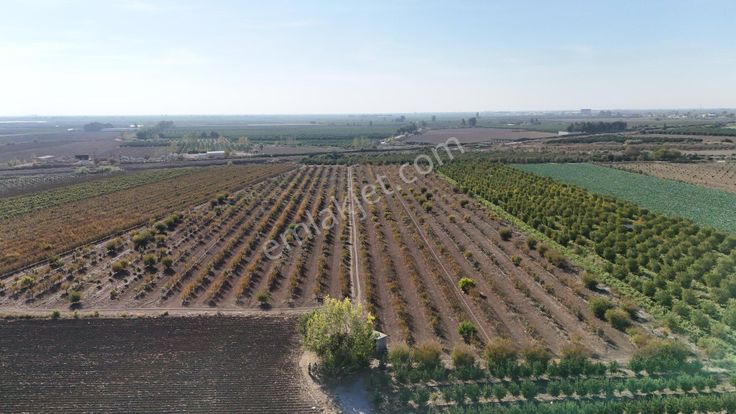 Havutlu Sanayi Carşısına Yakın Yatırımlık 43 Dönüm Satılık Bahçe