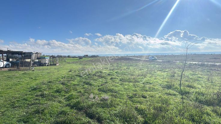 Tekirdağ Kapaklı Karlı Satılık 2950m2 Tek Tapu Kupon Bağ Yeri