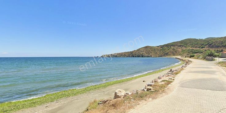 Balıkesir Bandırma Sunullah Mah. 3.283 M2 Satılık Zeytinlik Yatırımlık