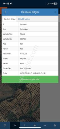 Balıkesir Burhaniyede Satılık Zeytinlik