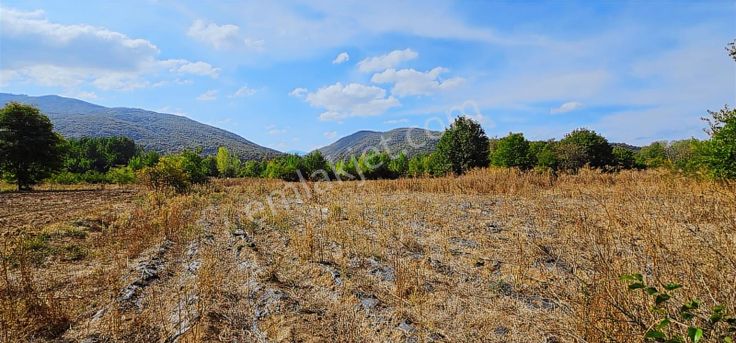 Dialog Sun Satılık İnegöl Kınık 7.086m² Yatırıma Uygun Tarla