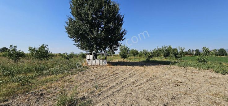 Dıalog Sun Satılık İnegöl Alibey Mah . 2.232 M² Tarla