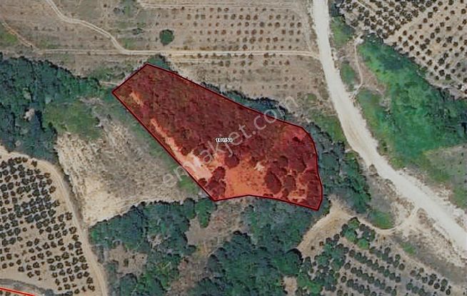 Dialog Sun Satılık İnegöl İsaören'de Yatırıma Uygun Tarla 5.608m