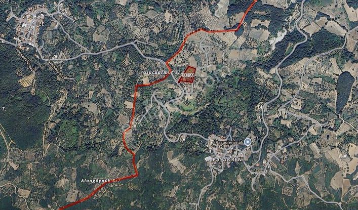 Dialog Sun Satılık İnegöl Paşaören 5.411m² Meyve Bahçesi