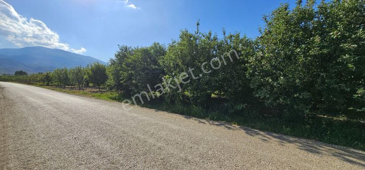 Dialog Sun Satılık İnegöl Yenicköy Mah. 2700m² Yola Cephe Tarla