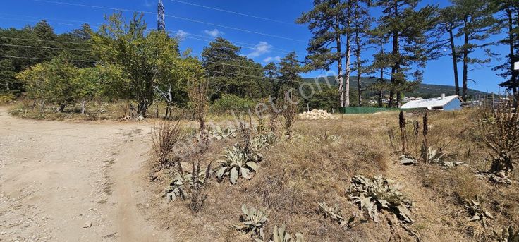 Dialog Sun Satılık İnegöl Boğazova (çayyaka) Mah 624 M² Tarla