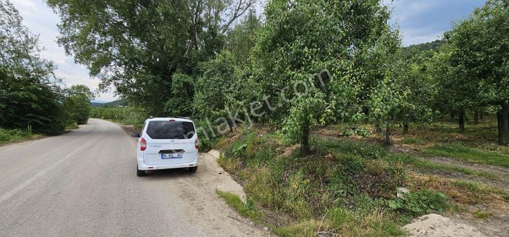 Dialog Sun Satılık İnegöl Edebey'de Yola Cephe 18 Dönüm Tarla