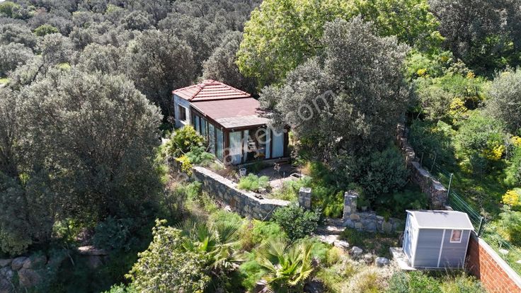 1900 M2 Arsa |130 M2 Yapı Kayıt Belgeli Satılık Zeytinlik