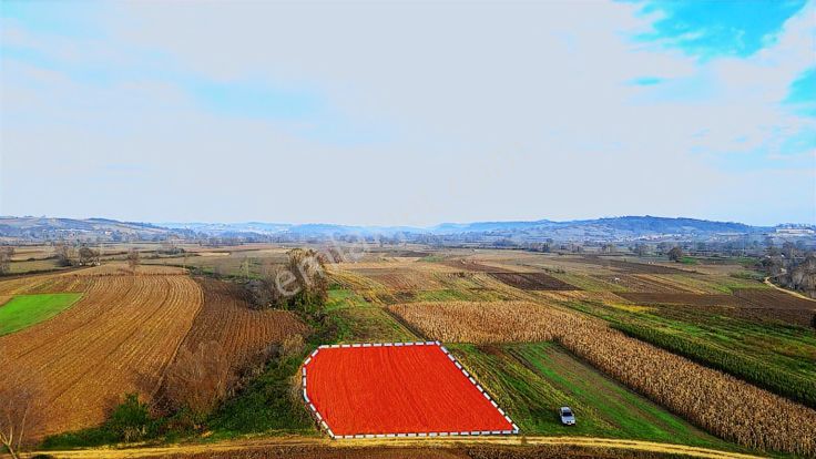 Kandıra Lokmanlıda Kadastral Yola Cephe Satılık Arsa