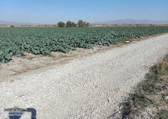 Salihli Taytan Mahallesinde Yatırımlık Arazi