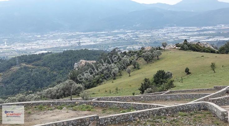 Kemalpaşa Ansızca'da Satılık Arsa