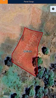 Elif Gayrimenkul Den Beypazarı Uruş'ta Tek Tapu Kupon Tarla