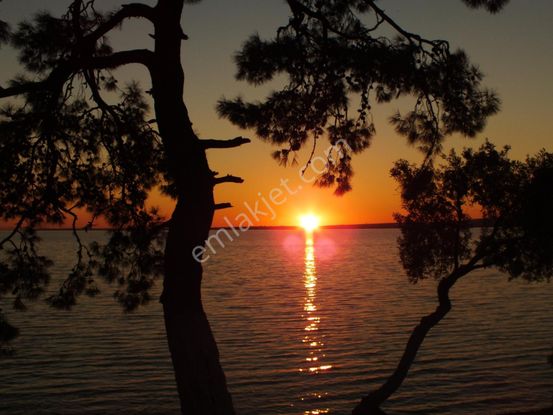 Akbük Te Kazıklı Yoluna Cephe 542 M2 Müstakil Arsa