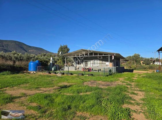 Ulus Emlak'tan Satılık Hayvan Çiftliği Ve Arazisi