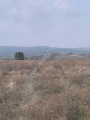 Kırklarelı Kofçazkocatarla Satılık Tarla