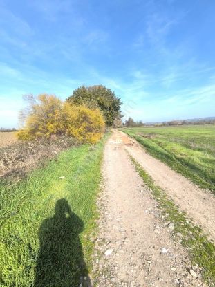 M.k.paşa Gayrimenkulden Üçbeyli'de 2730m2 Hobi İçin Uygun Arsa