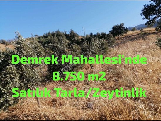 İsmail Yıldırım Emlak'tan Demrek'te Tek Tapu 8.753 M2 Tarla