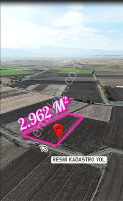 Şahin Emlaktan Denizli Acıpayam Gümüş Mah.satılık 2.962 M² Tarla