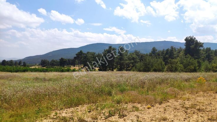 Çomaklı Hacıbekar Da 8070 M2 Yatırımlık Satılık Tarla