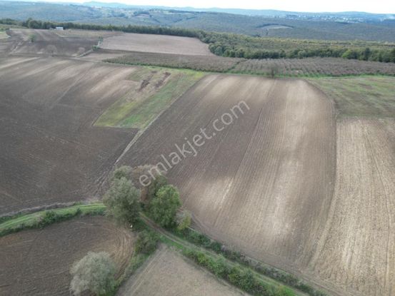 Kaynarca Kayacık Ta Çiftlik Yapımına Uygun 19.736 M² Arazi