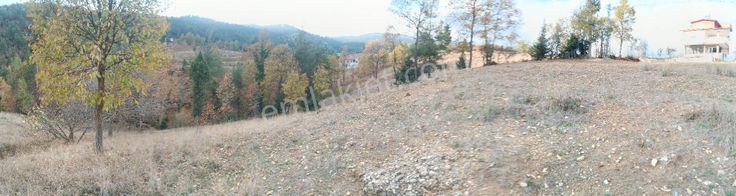 Bizim Emlak'tan Çamlıyayla Fakılarda 1075 M2 Satılık Arsa