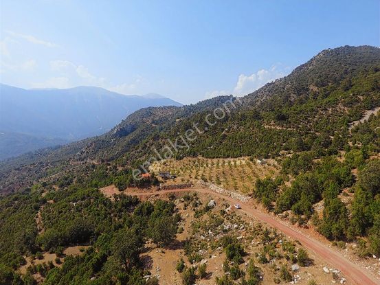 Kuzca Köyü Keleste Herşeyi Hazır Çiftlik Ve Arsası Kurulu Düzen