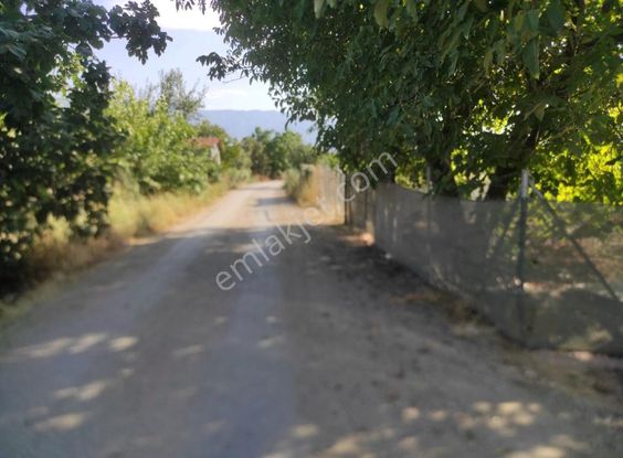 Tek Tapu 1700mt Armut Bahcesi