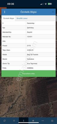 Zeytinlide Bağrvlerinin İçinde Fıstık Ve Zeytin Bahçesi