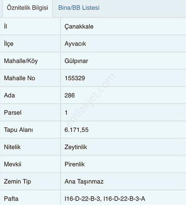 Eu Gayrimenkul'den Çanakkale Ayvacık Gülpınar'da Villaların Dibinde 6171 Metrekare Zeytinlik