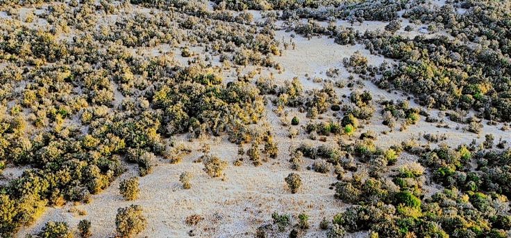 Eu Gayrimenkul'den Çanakkale Ayvacık Paşaköy'de 38 Dönüm Tarla Ve Palamutluk